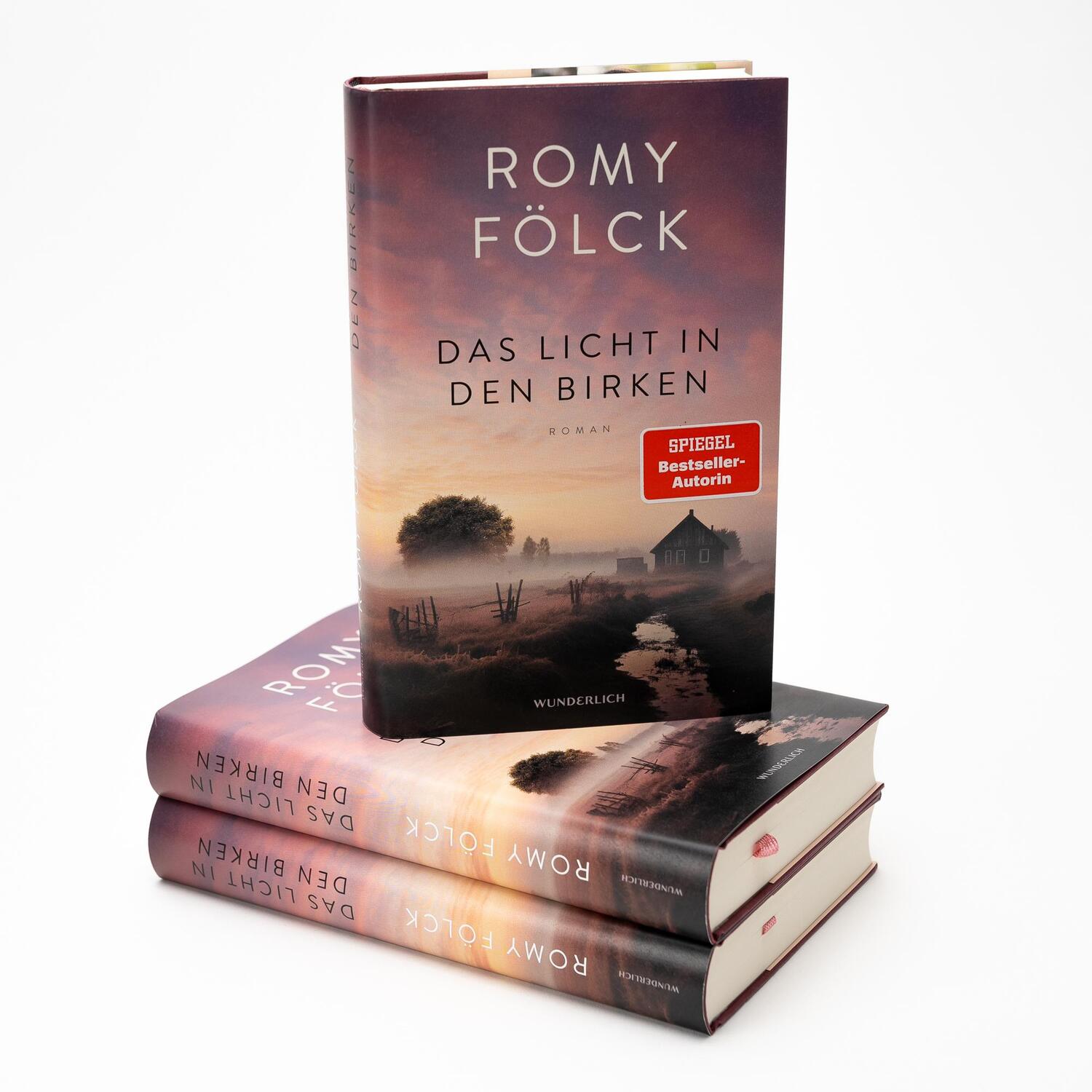 Bild: 9783805201117 | Das Licht in den Birken | Romy Fölck | Buch | 352 S. | Deutsch | 2024