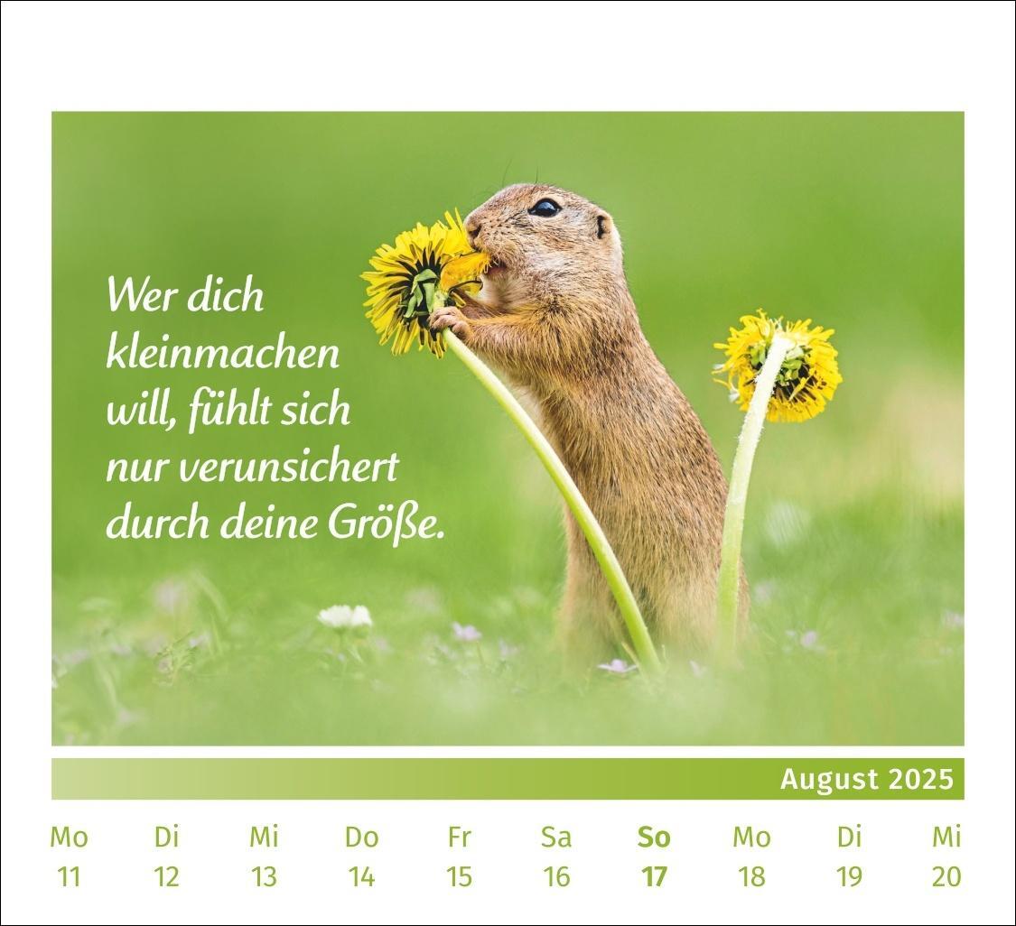 Bild: 9783840196072 | PAL - Der Lebensfreude Tischkalender 2025 | Kalender | Spiralbindung