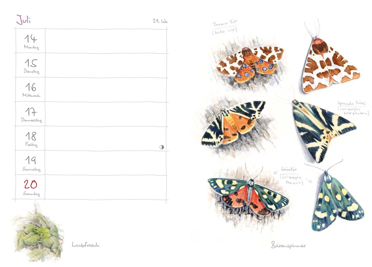 Bild: 9783895664366 | Mein Naturkalender 2025 | Naturillustrationen von Christopher Schmidt