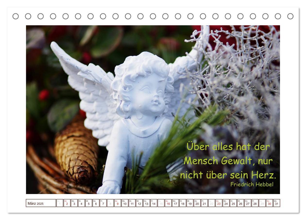 Bild: 9783435737253 | Engel-Kalender mit Zitaten / CH-Version (Tischkalender 2025 DIN A5...