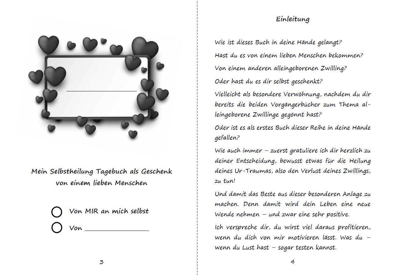 Bild: 9783967380231 | Alleingeborener Zwilling im Rendezvous mit dir selbst | Haintz | Buch