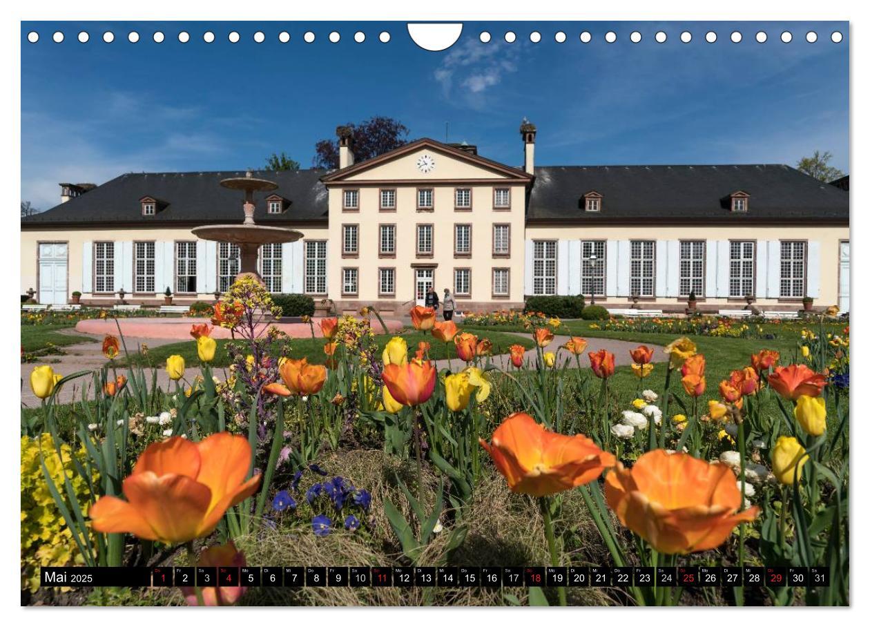 Bild: 9783435467990 | Frankreich - Strasbourg (Wandkalender 2025 DIN A4 quer), CALVENDO...