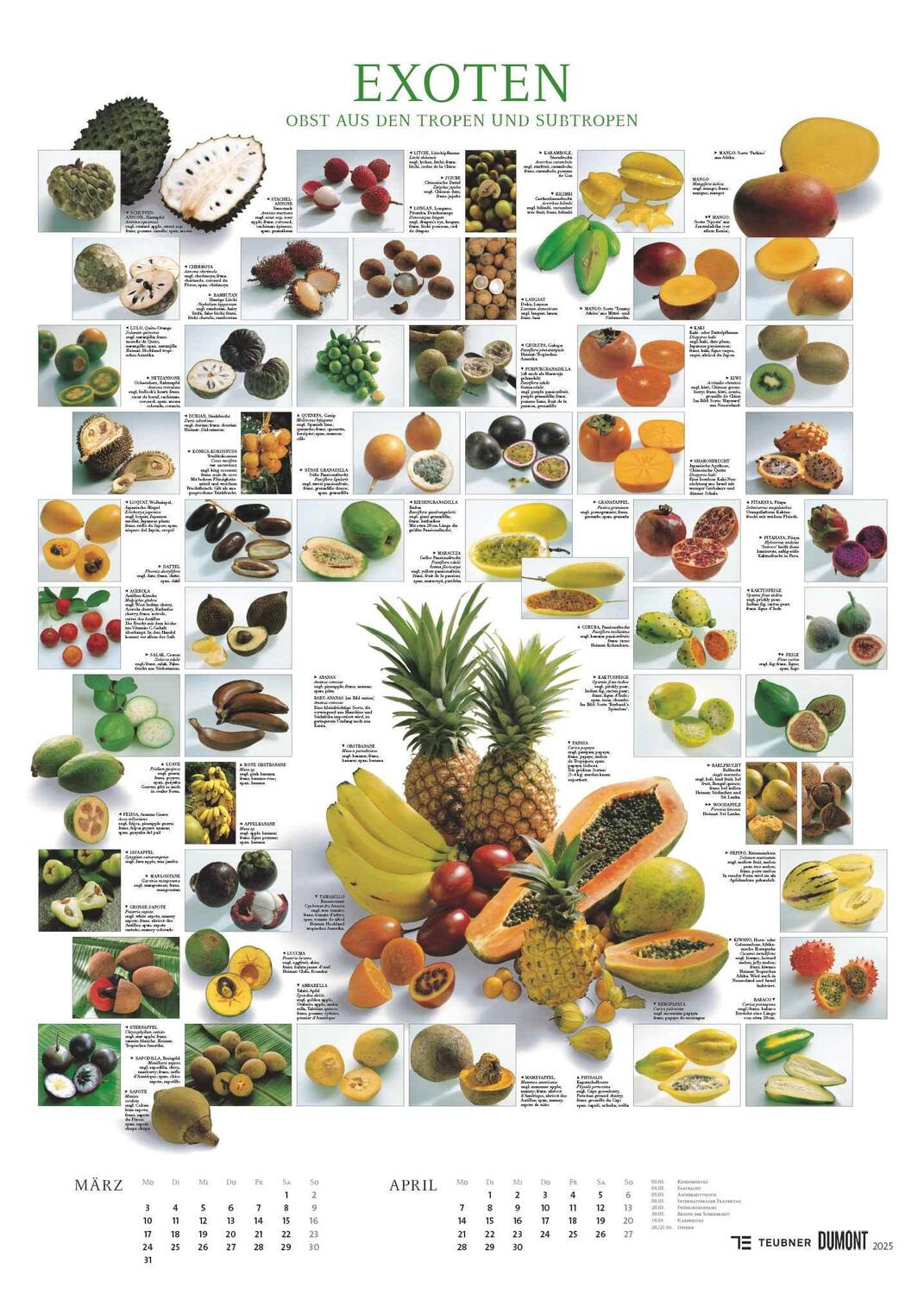 Bild: 4250809652887 | Food 2025 - Bildkalender 50x70 cm - mit kurzen Beschreibungen zu...