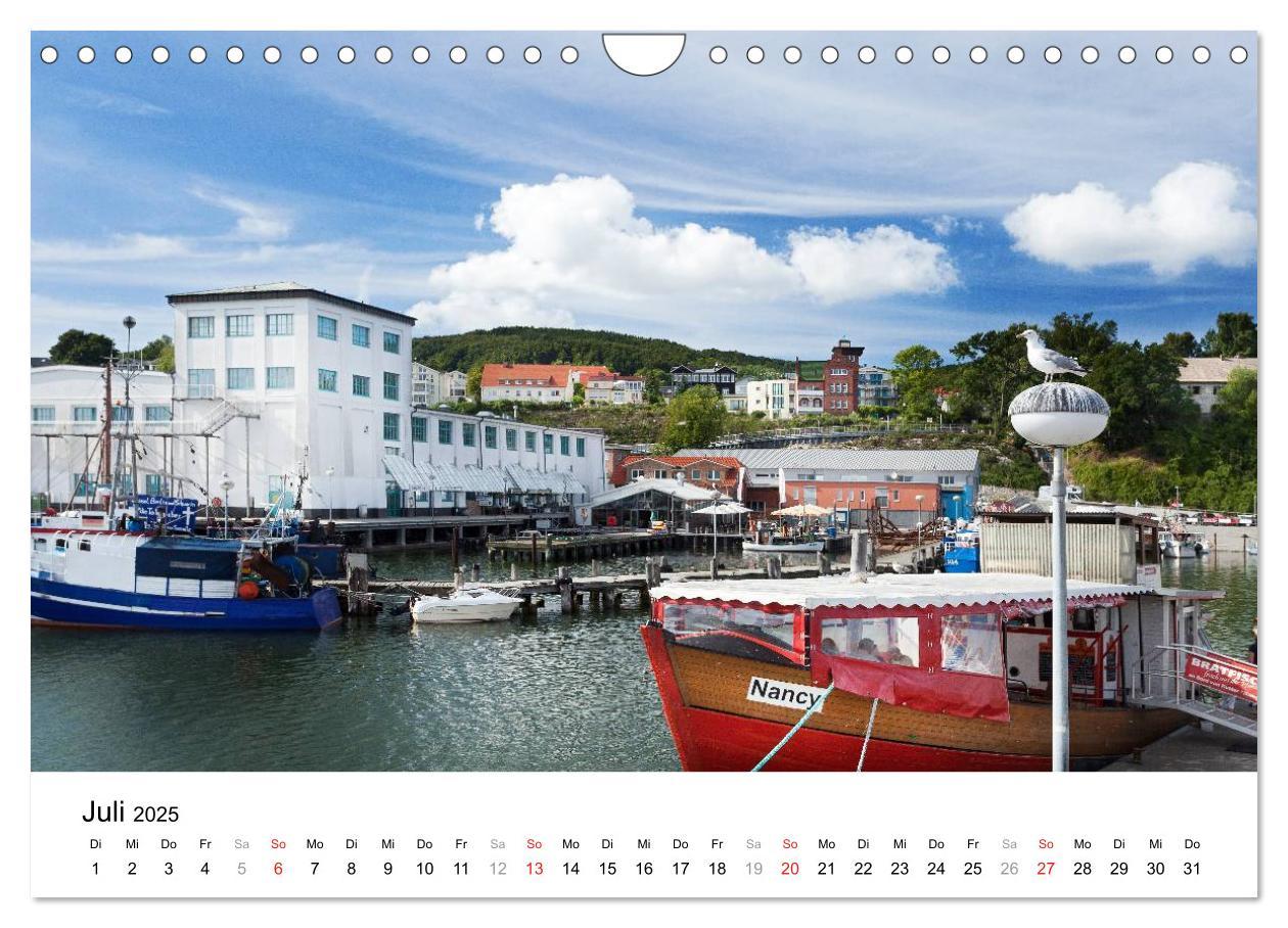 Bild: 9783435798292 | Rügen (Wandkalender 2025 DIN A4 quer), CALVENDO Monatskalender | 2025