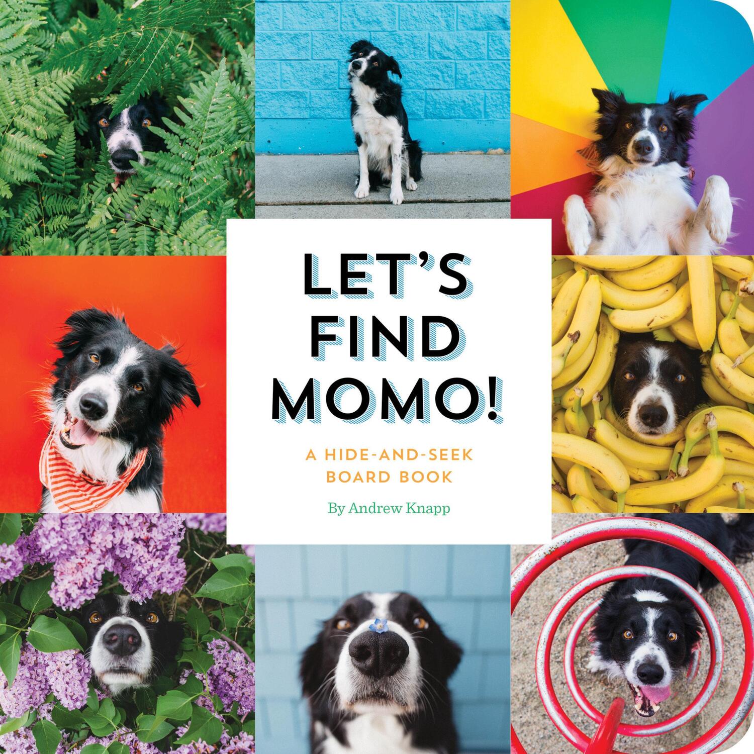 Cover: 9781594749582 | Let's Find Momo! | A Hide-And-Seek Board Book | Andrew Knapp | Buch