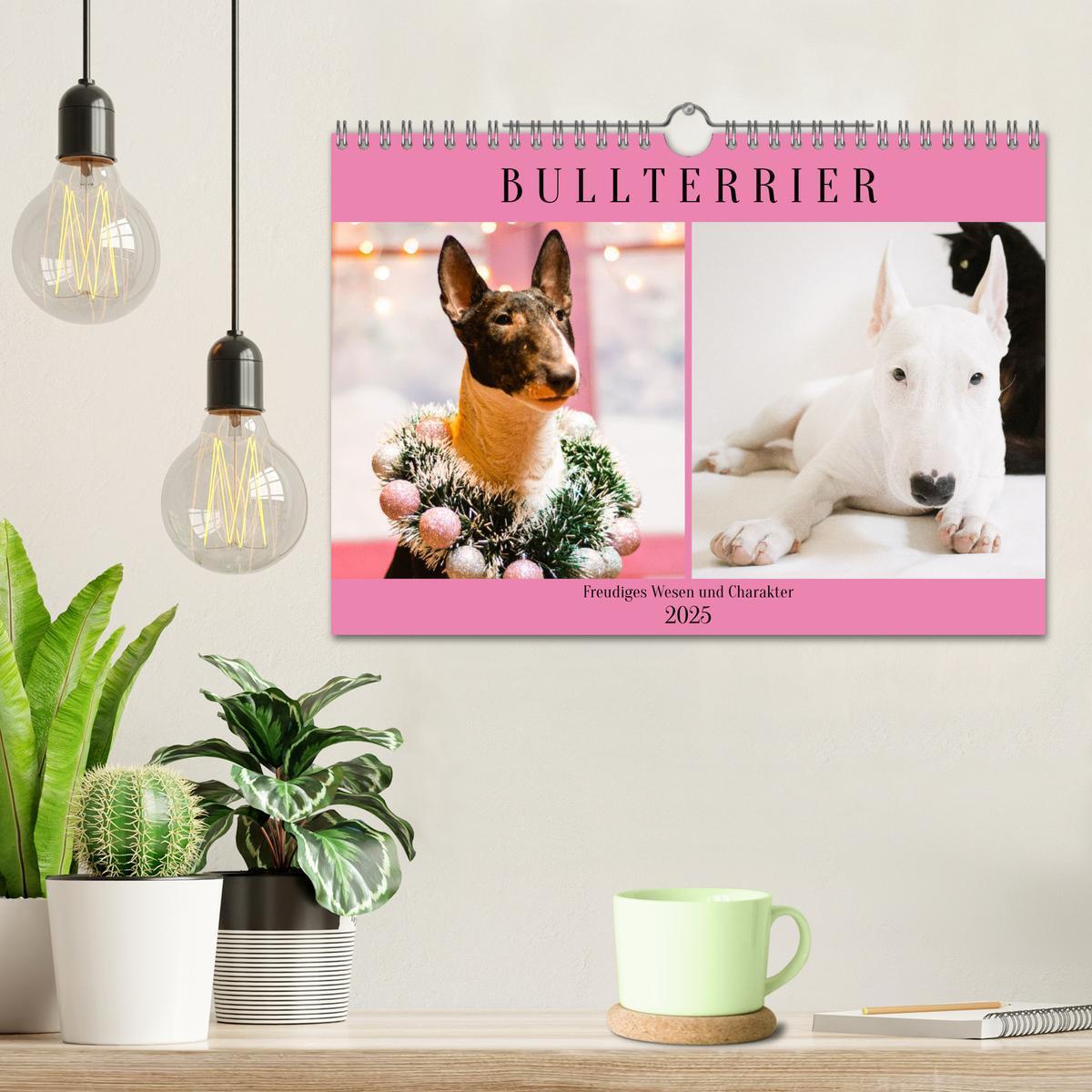 Bild: 9783383947438 | Bullterrier. Freudiges Wesen und Charakter (Wandkalender 2025 DIN...