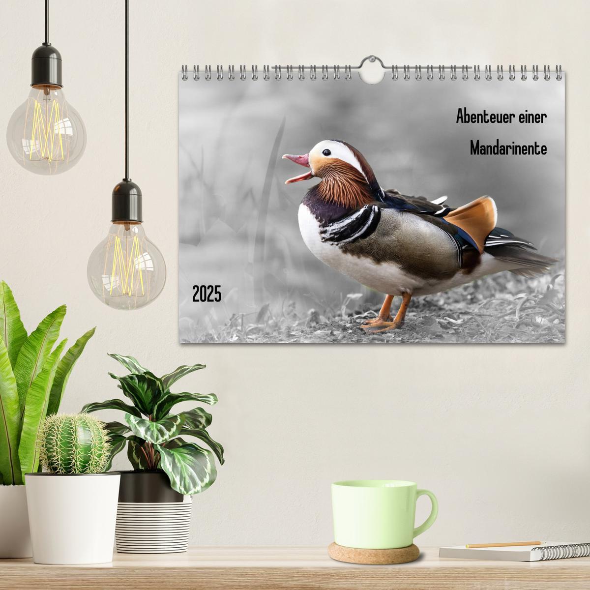 Bild: 9783435365418 | Abenteuer einer Mandarinente (Wandkalender 2025 DIN A4 quer),...