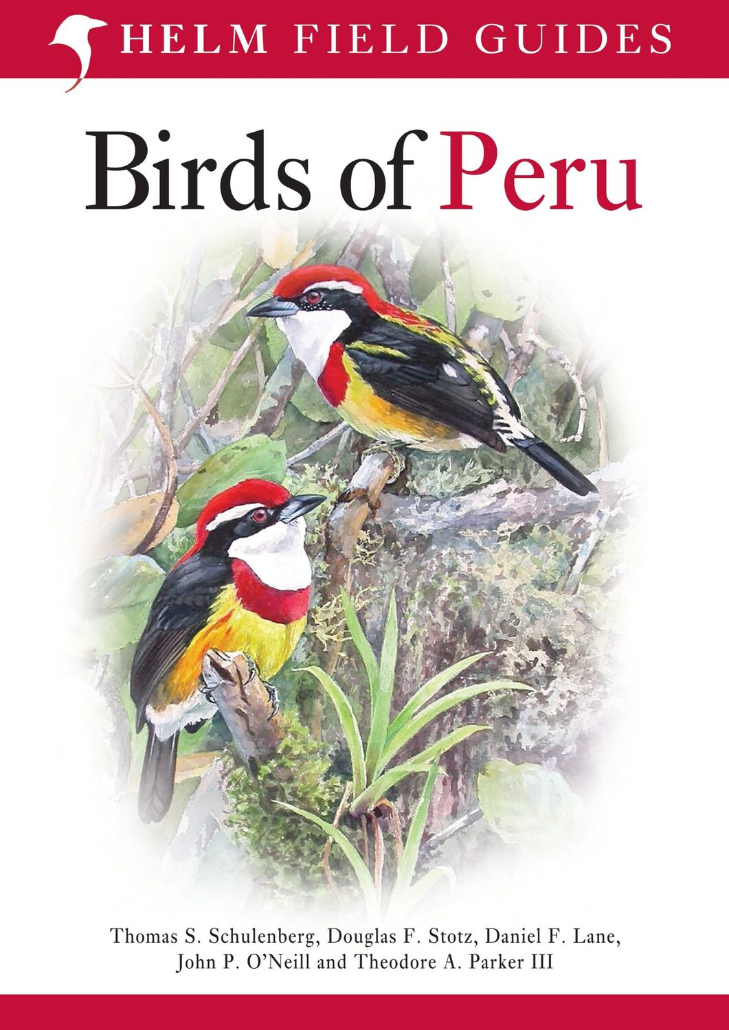 Cover: 9780713686739 | Field Guide to Birds of Peru | Daniel F. Lane (u. a.) | Taschenbuch