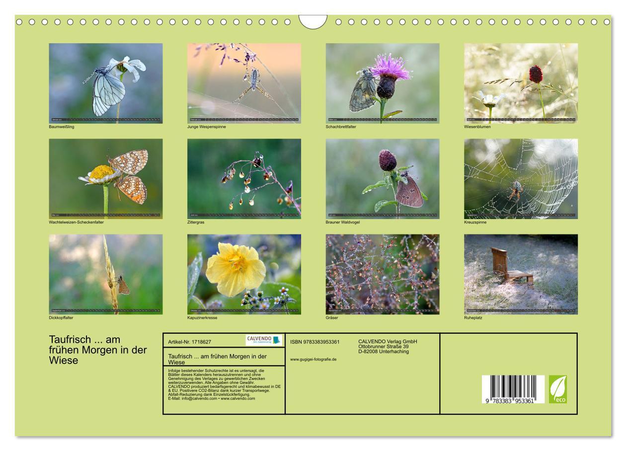 Bild: 9783383953361 | Taufrisch ... am frühen Morgen in der Wiese (Wandkalender 2025 DIN...