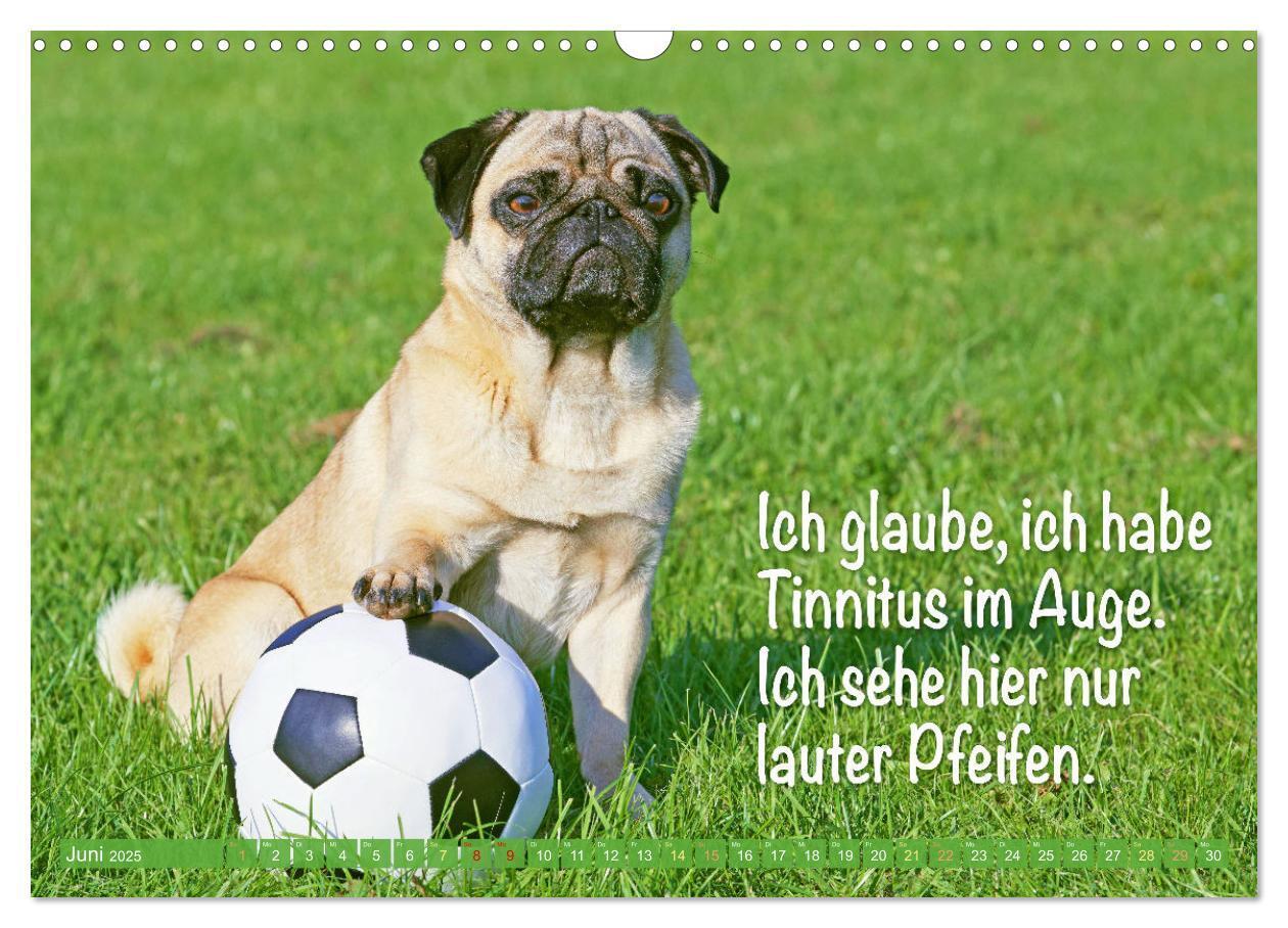 Bild: 9783435070022 | Der Mops: Nicht klein, sondern aufs Wesentliche reduziert. Edition...