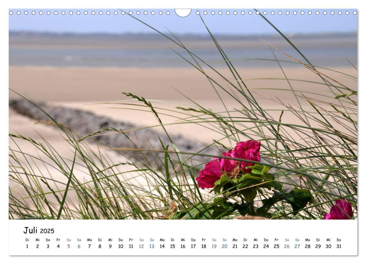 Bild: 9783435757671 | Föhr und Halligwelt 2025 (Wandkalender 2025 DIN A3 quer), CALVENDO...