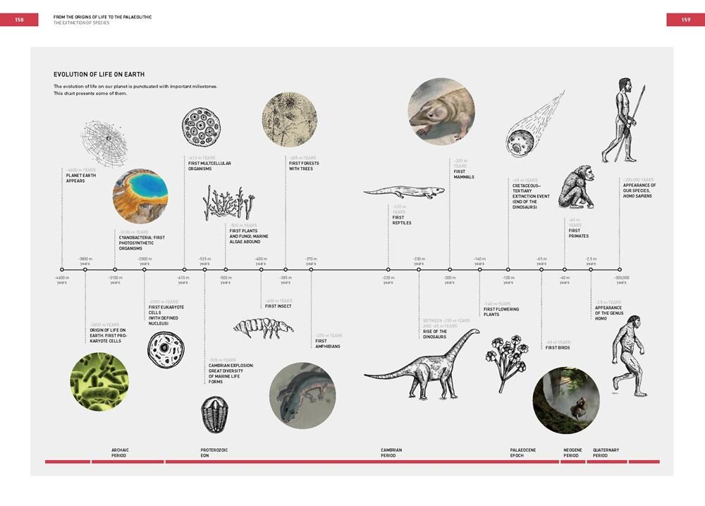 Bild: 9781838661625 | The Origins of Cooking | Palaeolithic and Neolithic Cooking | Buch