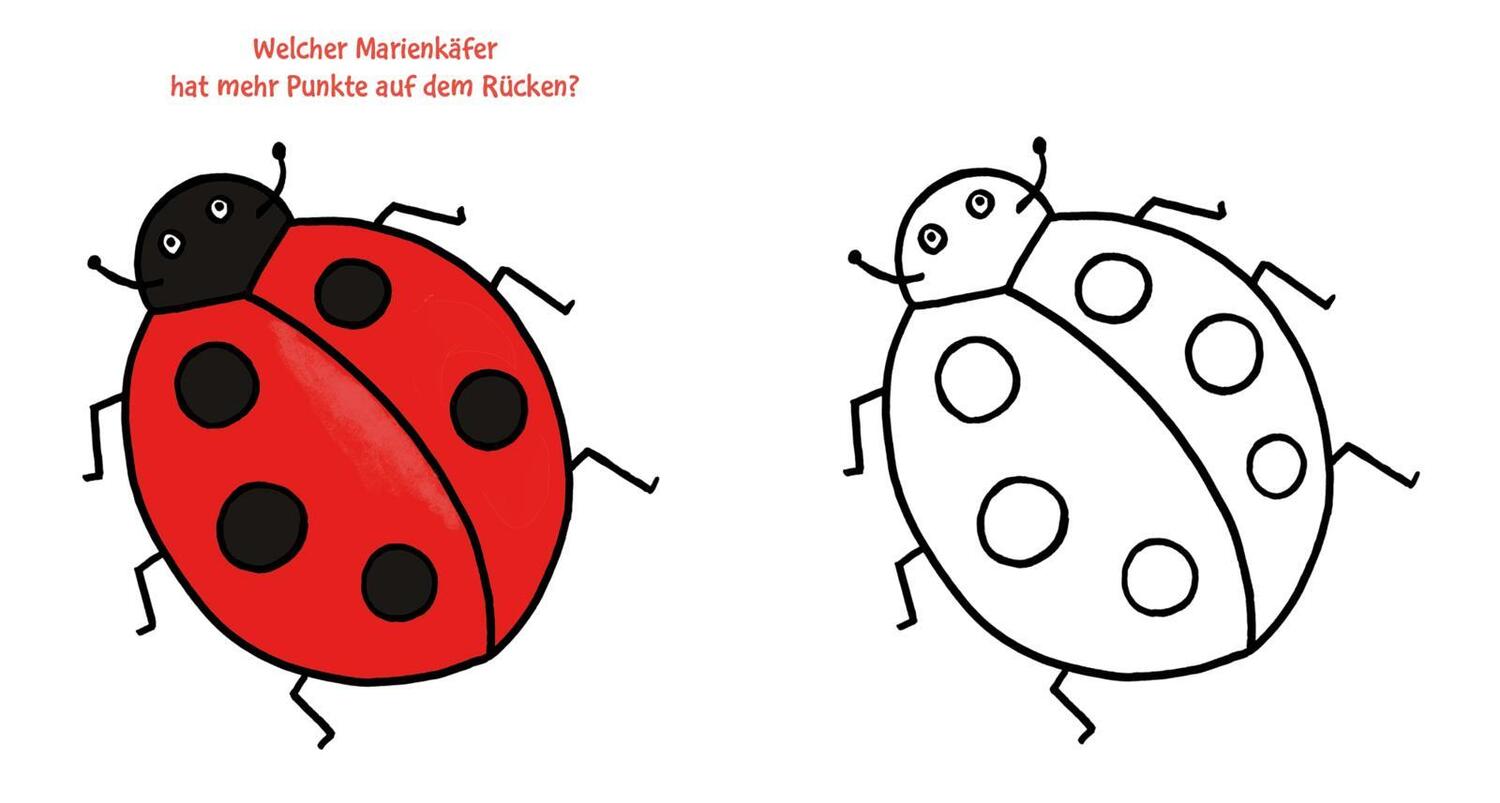 Bild: 9783551160072 | Das dicke Kindergarten-Malbuch: Draußen unterwegs | Malen ab 2 Jahren