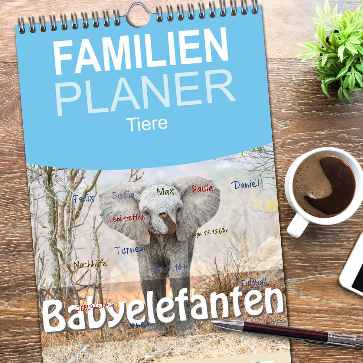 Bild: 9783457108970 | Familienplaner 2025 - Babyelefanten mit 5 Spalten (Wandkalender, 21...