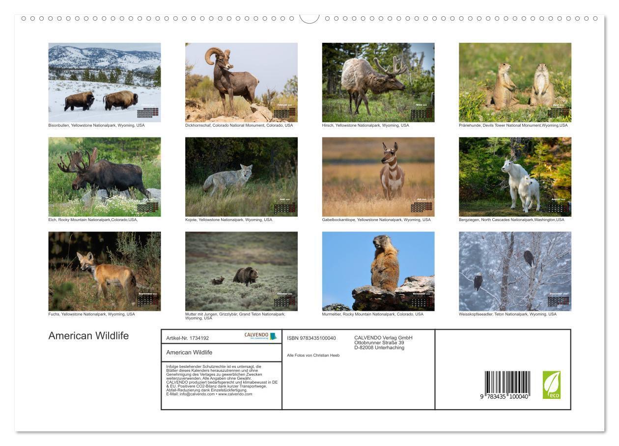 Bild: 9783435100040 | American Wildlife (hochwertiger Premium Wandkalender 2025 DIN A2...