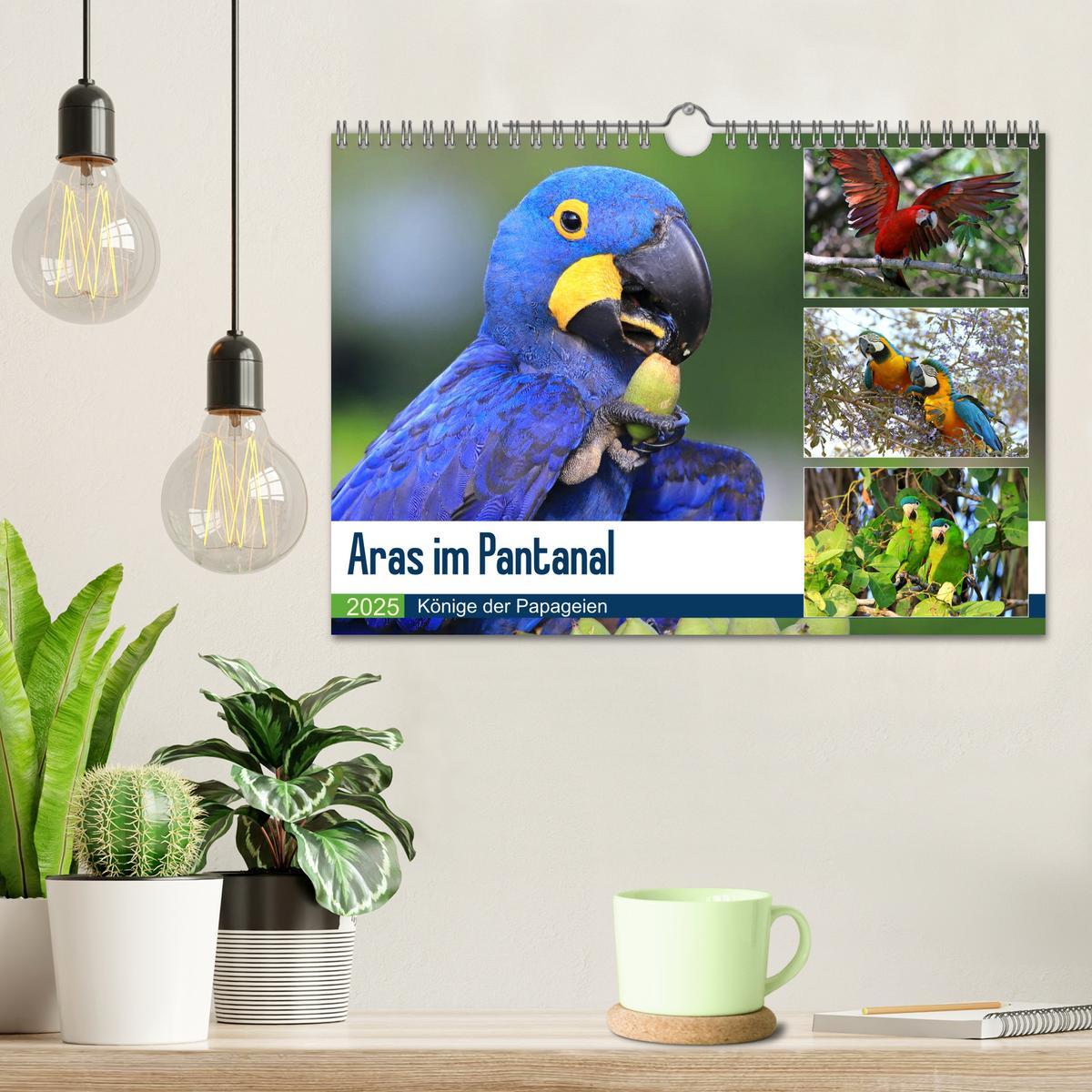 Bild: 9783435263196 | Aras im Pantanal (Wandkalender 2025 DIN A4 quer), CALVENDO...