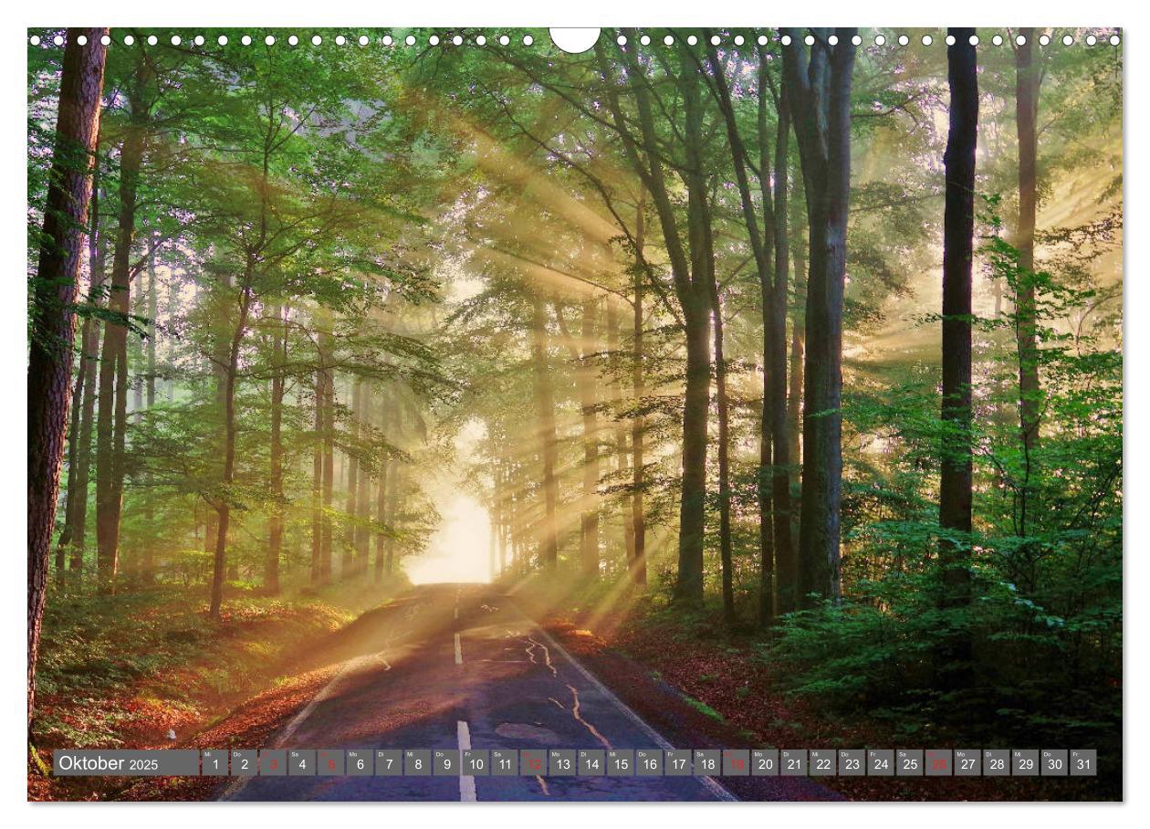 Bild: 9783435201518 | Zauberhafte Schwalm (Wandkalender 2025 DIN A3 quer), CALVENDO...