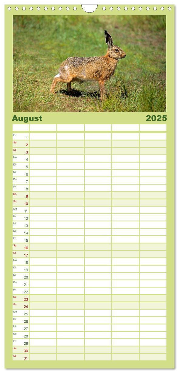 Bild: 9783457117606 | Familienplaner 2025 - Tiere des Waldes mit 5 Spalten (Wandkalender,...