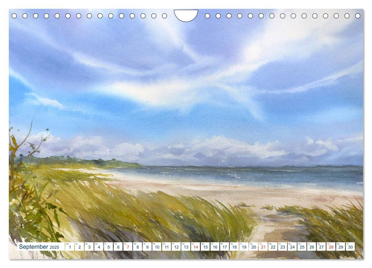 Bild: 9783435167753 | Nordseeaquarelle (Wandkalender 2025 DIN A4 quer), CALVENDO...