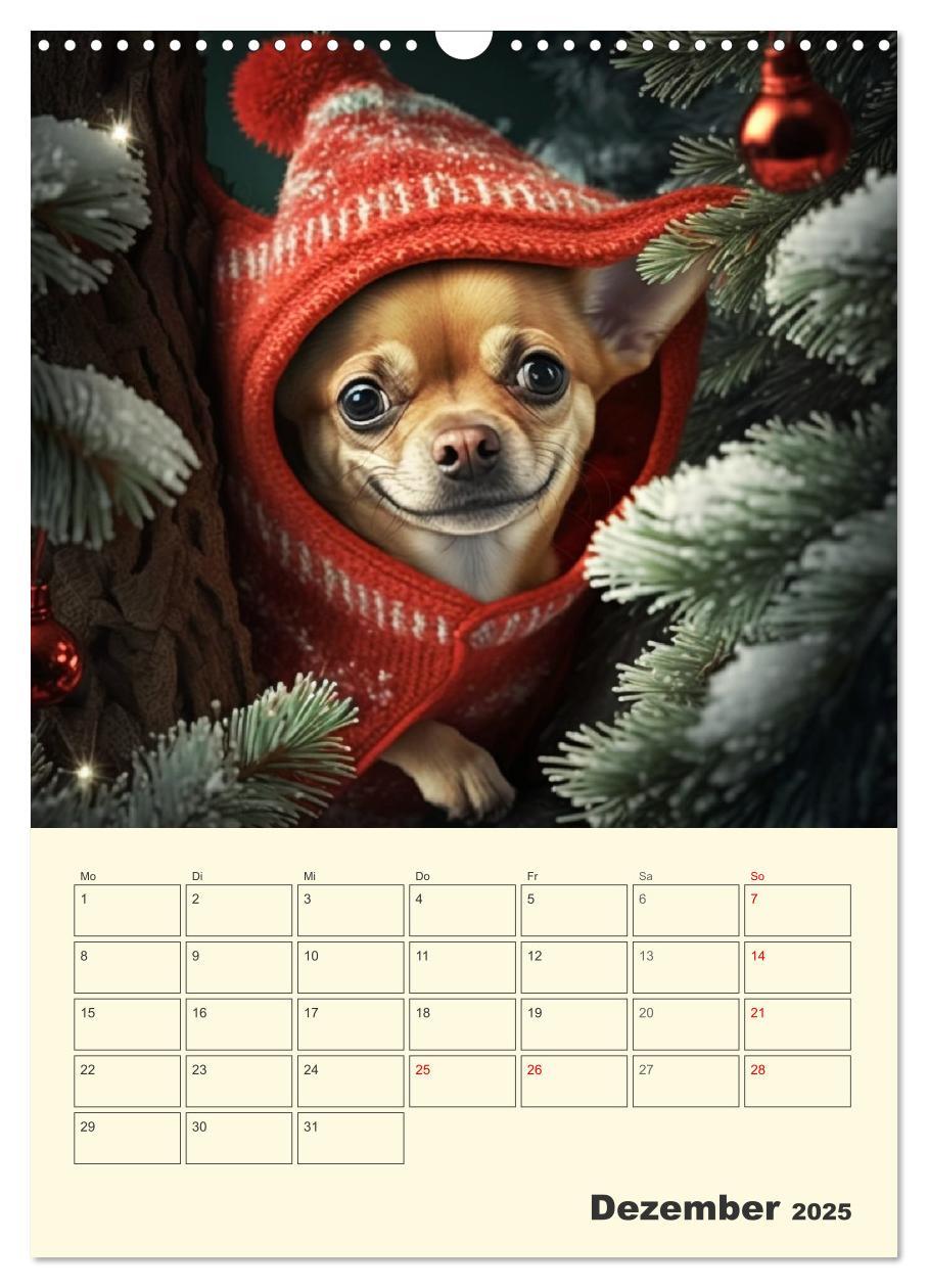 Bild: 9783435875672 | Witzige Chihuahuas. Glückliche Temperamentbündel (Wandkalender 2025...