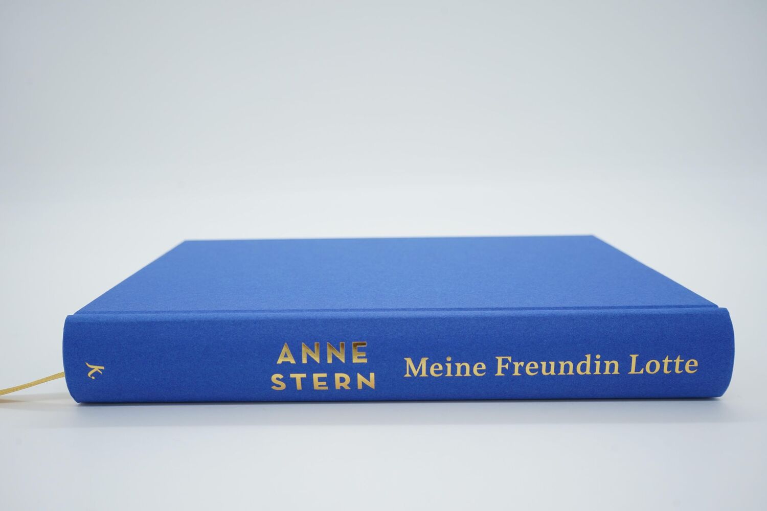 Bild: 9783463000268 | Meine Freundin Lotte | Anne Stern | Buch | 368 S. | Deutsch | 2021