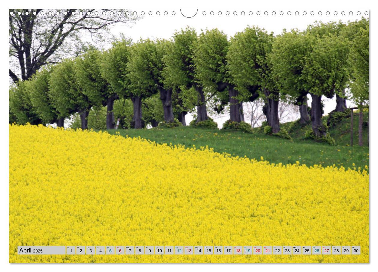 Bild: 9783435372140 | Schloss Bothmer - Klützer Schlossimpressionen (Wandkalender 2025...