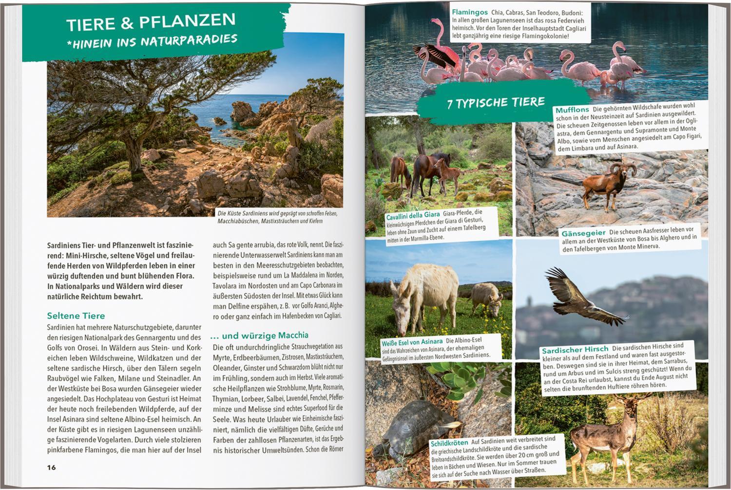 Bild: 9783575019264 | MARCO POLO OUTDOOR GUIDE Reiseführer Sardinien | Timo Lutz | Buch