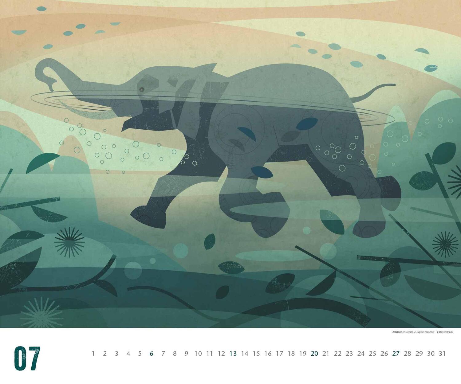 Bild: 4250809653129 | Dieter Braun: Die Welt der Tiere 2025 - Wandkalender - Format 60 x...