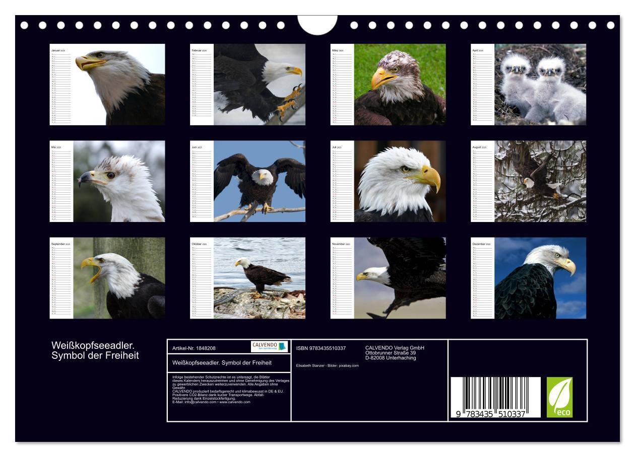 Bild: 9783435510337 | Weißkopfseeadler. Symbol der Freiheit (Wandkalender 2025 DIN A4...