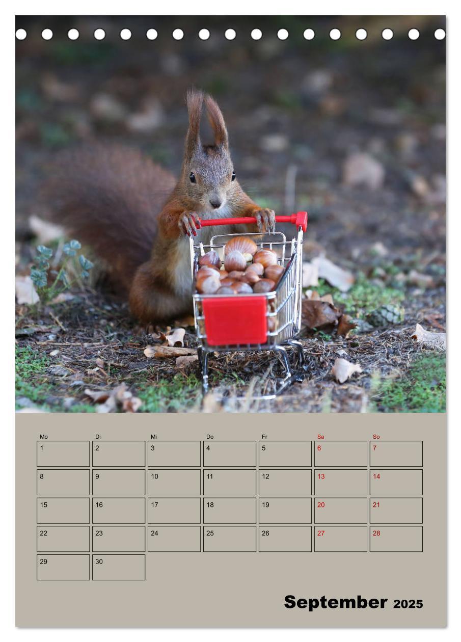 Bild: 9783435991075 | Eichhörnchen - Planer (Tischkalender 2025 DIN A5 hoch), CALVENDO...