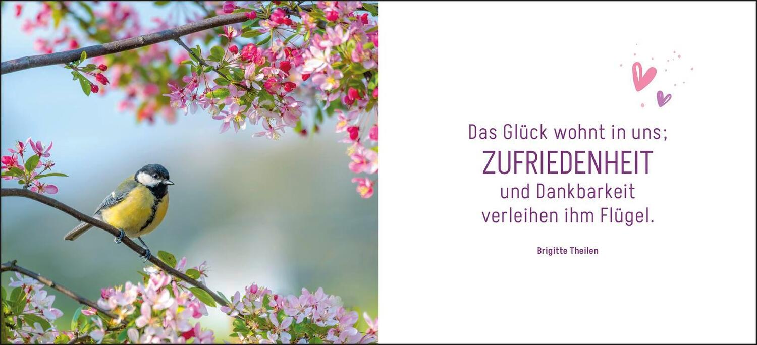 Bild: 9783848502677 | Ein kleines Dankeschön | Groh Verlag | Buch | 48 S. | Deutsch | 2024