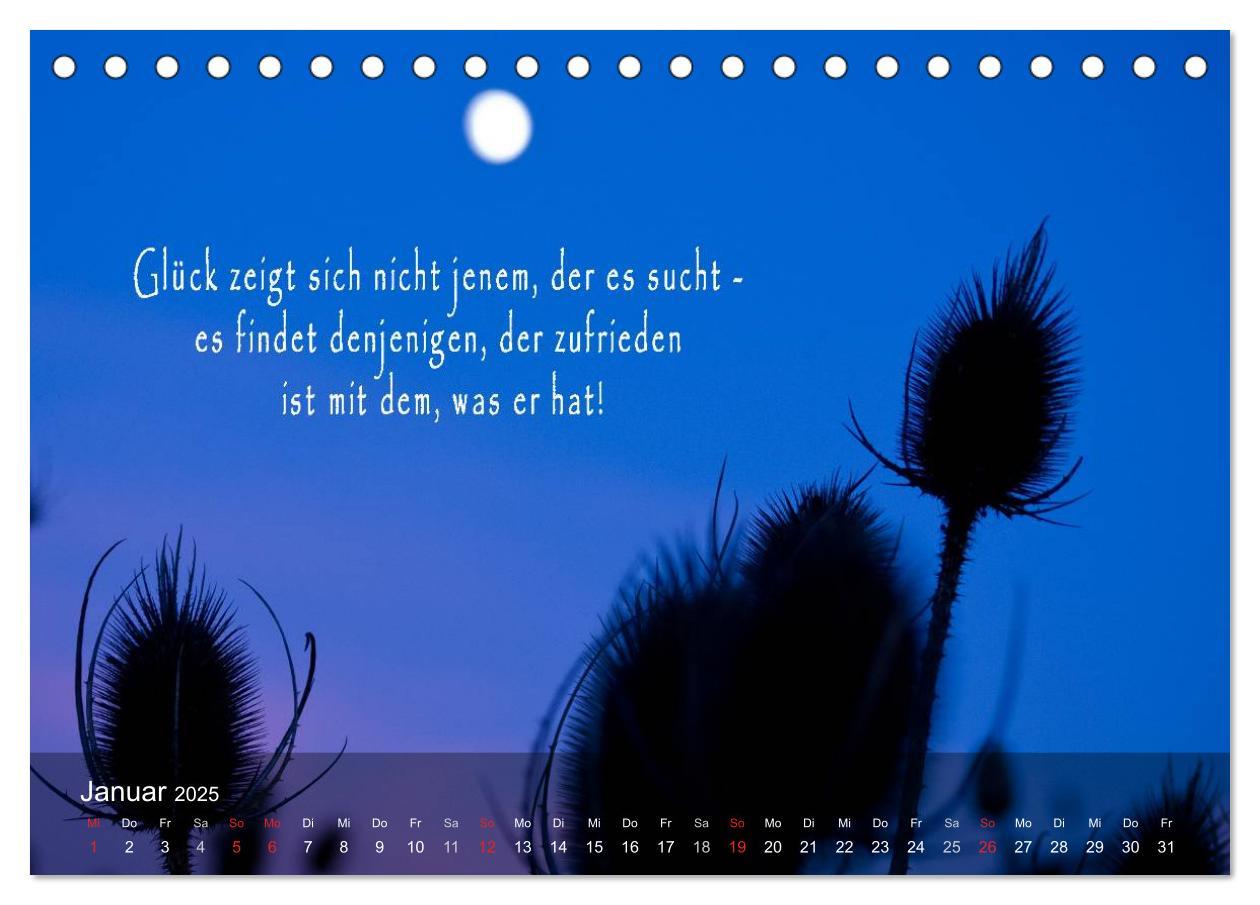 Bild: 9783435633562 | wunderschöne Lichtmomente (Tischkalender 2025 DIN A5 quer),...