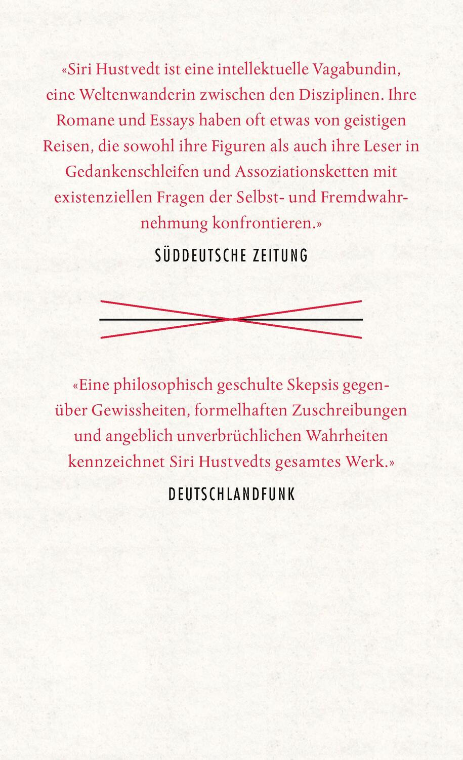 Rückseite: 9783498030315 | Eine Frau schaut auf Männer, die auf Frauen schauen | Siri Hustvedt