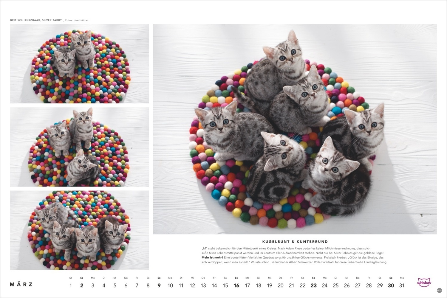 Bild: 9783756404971 | Whiskas Katzenkalender 2025 | Kalender | Spiralbindung | 14 S. | 2025