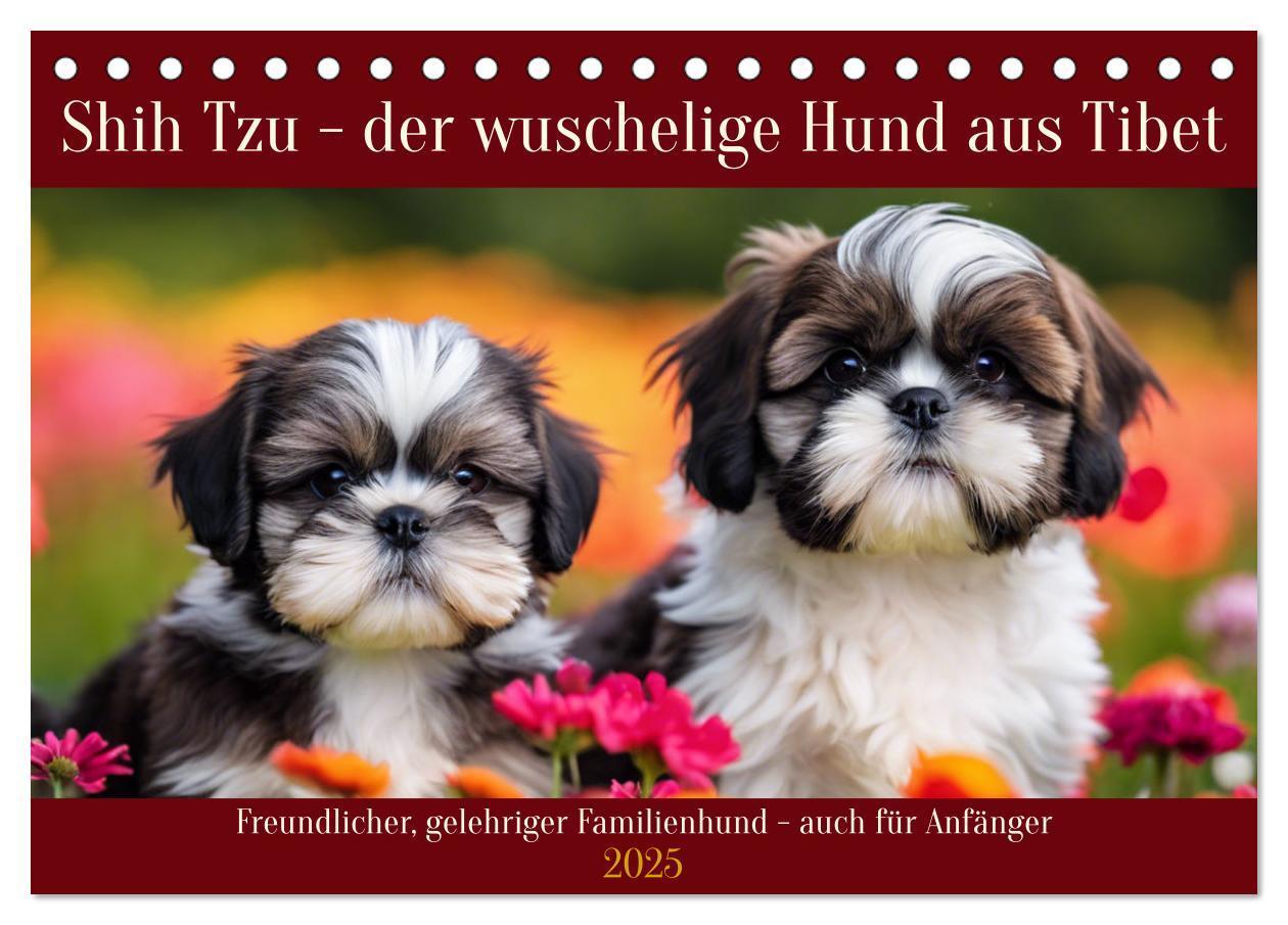 Cover: 9783435647279 | Shih Tzu - der wuschelige Hund aus Tibet (Tischkalender 2025 DIN A5...