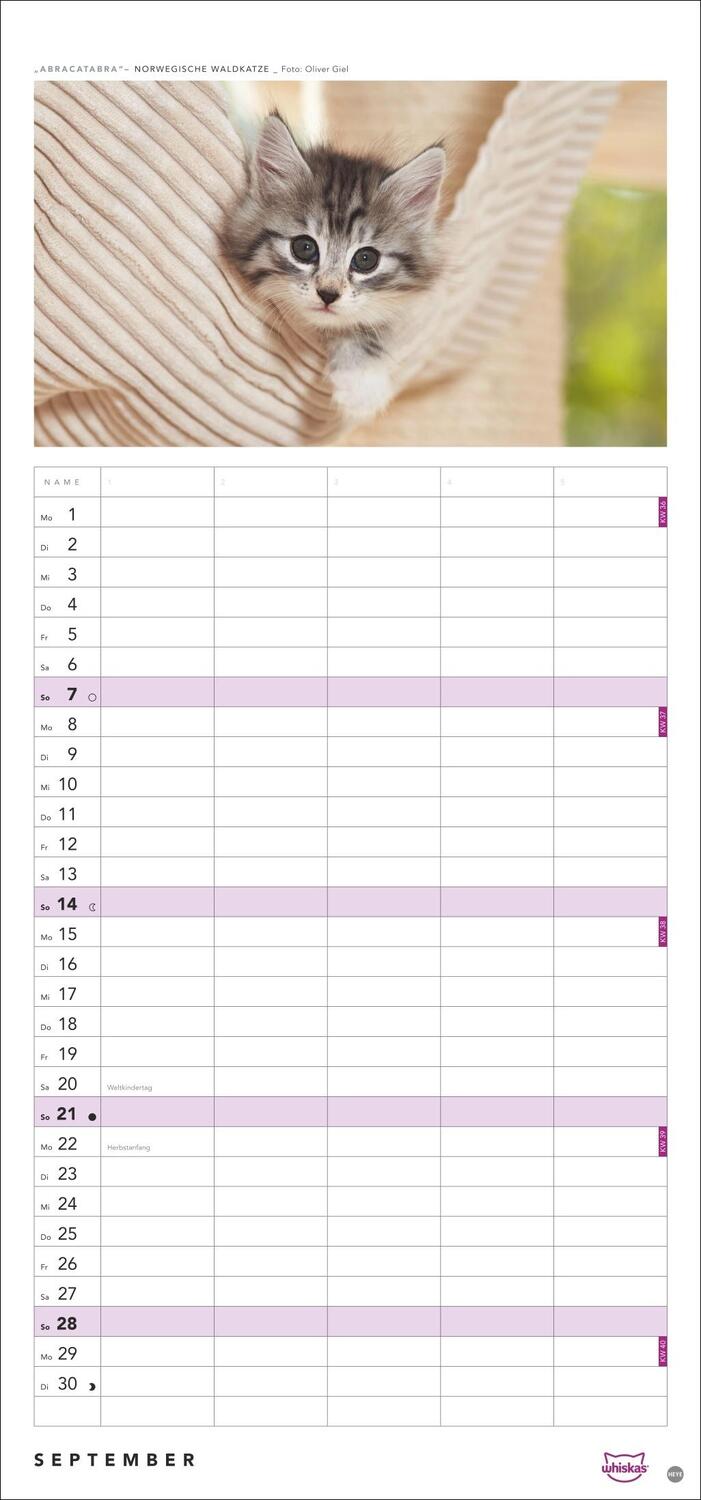 Bild: 9783756405831 | Whiskas Familienplaner 2025 | Kalender | Familienplaner Athesia | 2025