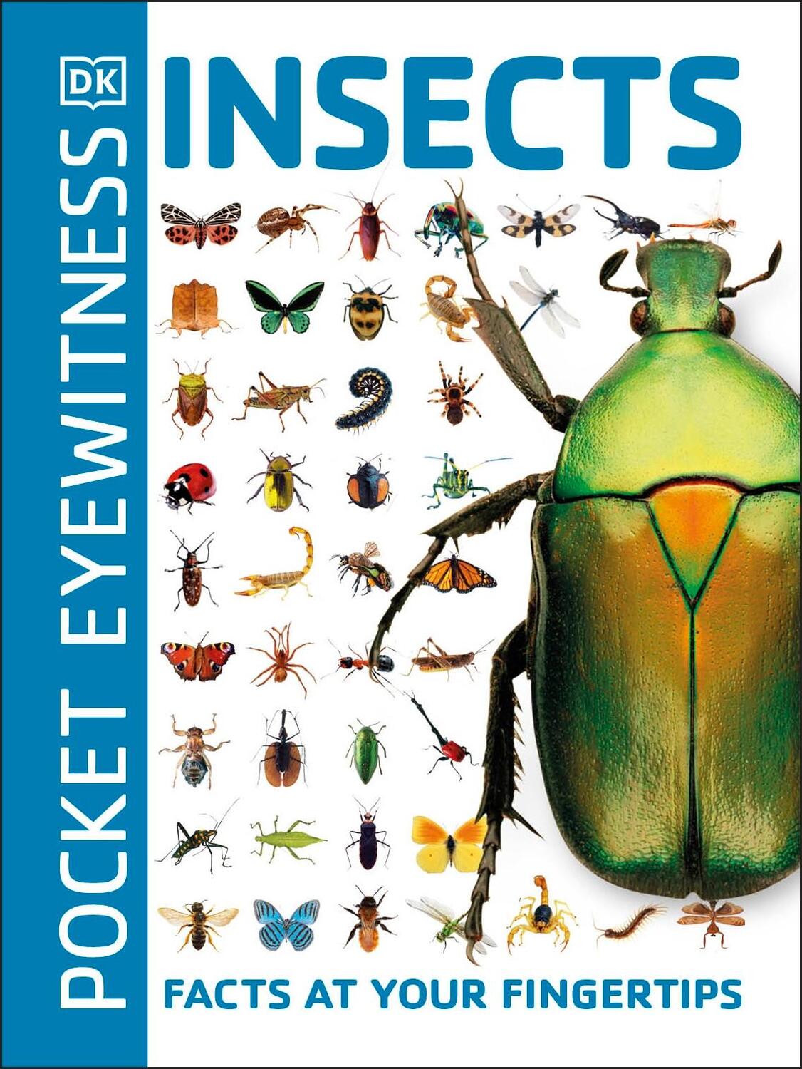 Cover: 9780241343685 | Pocket Eyewitness Insects | Facts at Your Fingertips | Dk | Buch