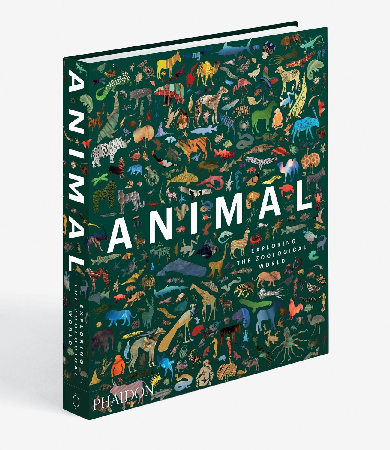 Bild: 9780714876818 | Animal | Exploring the Zoological World | Phaidon Editors | Buch