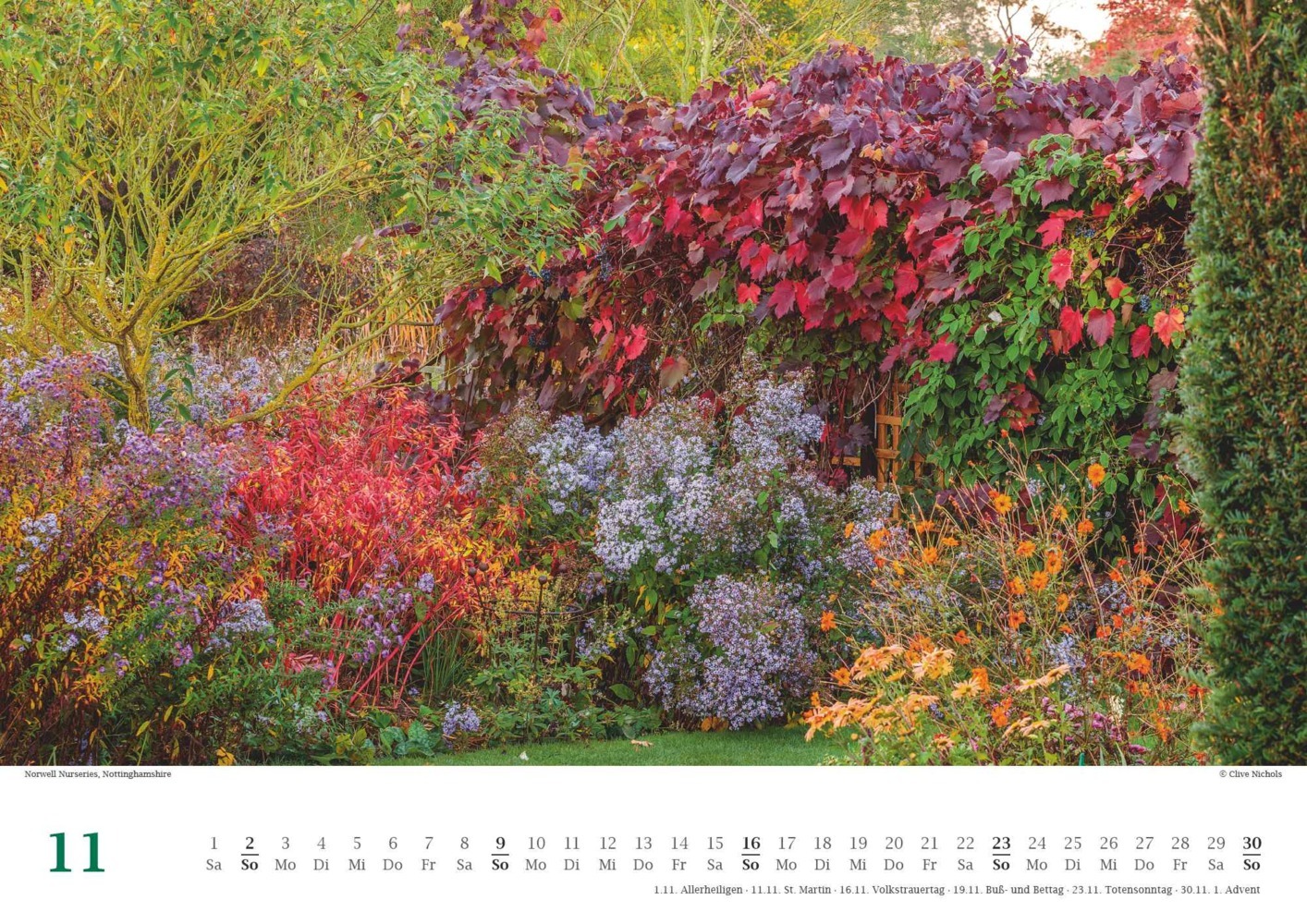 Bild: 4250809653617 | DUMONT - Traumhafte Gartenbeete 2025 Wandkalender, 42x29,7cm,...