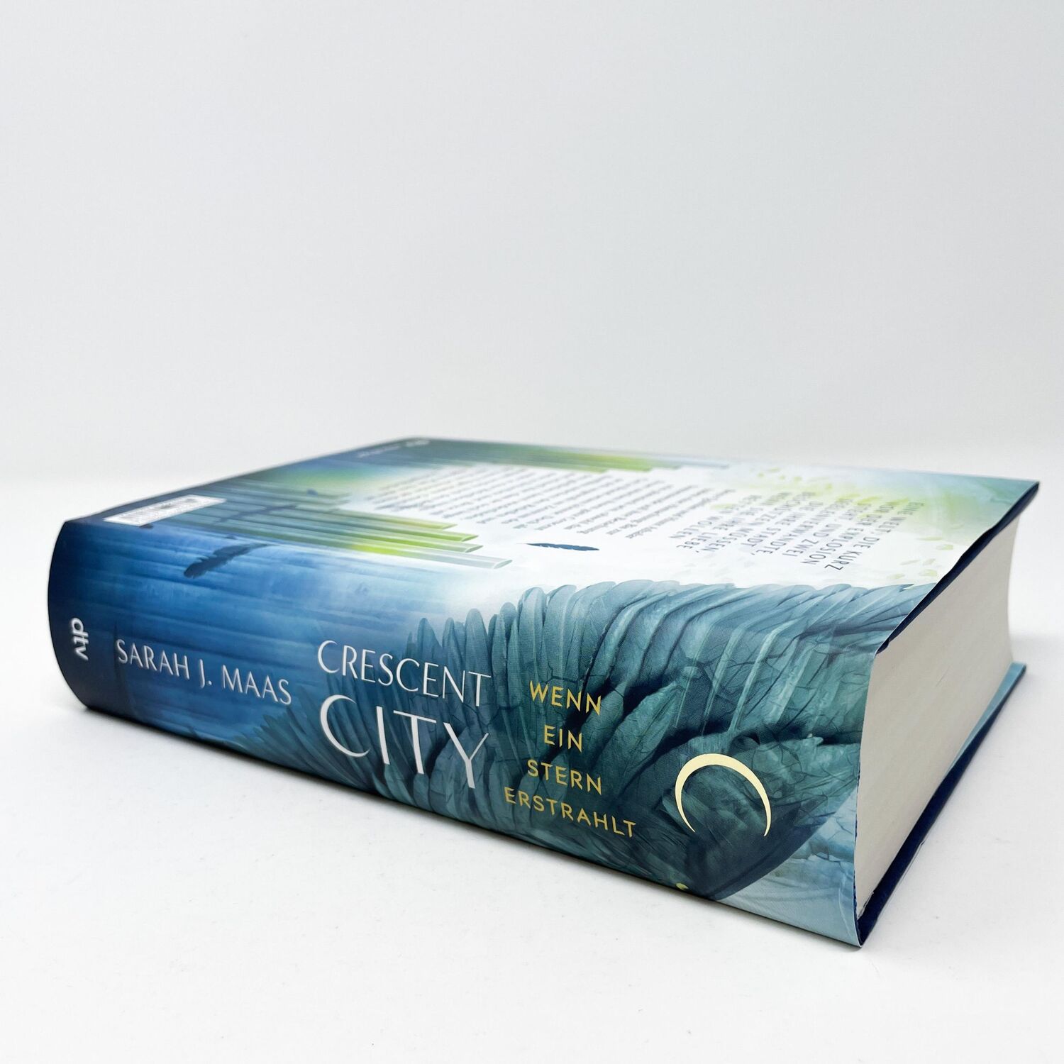 Bild: 9783423763837 | Crescent City - Wenn ein Stern erstrahlt | Sarah J. Maas | Buch | 2022