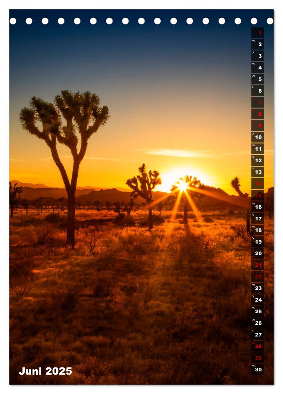 Bild: 9783435961108 | Impressionen aus dem JOSHUA TREE NATIONAL PARK (Tischkalender 2025...