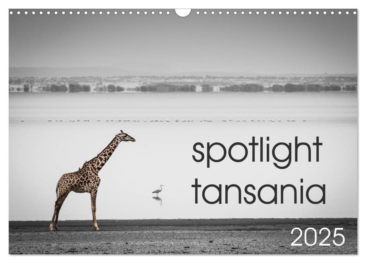 Cover: 9783435390847 | spotlight tansania (Wandkalender 2025 DIN A3 quer), CALVENDO...