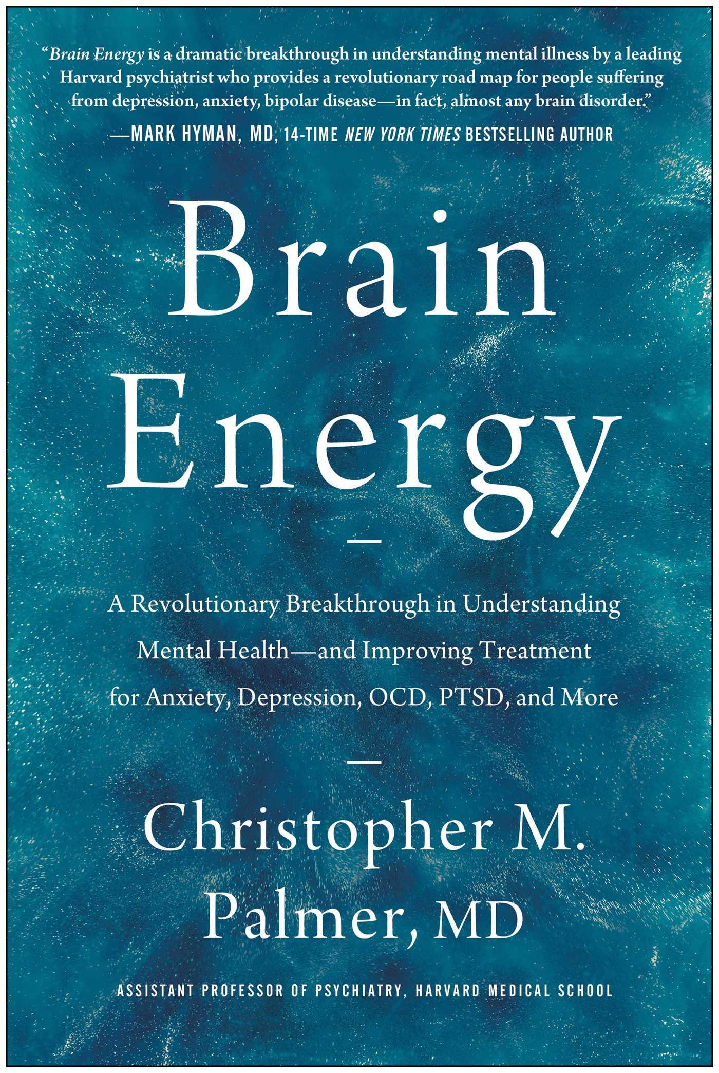 Cover: 9781637741580 | Brain Energy | Christopher M. Palmer | Buch | Englisch | 2022