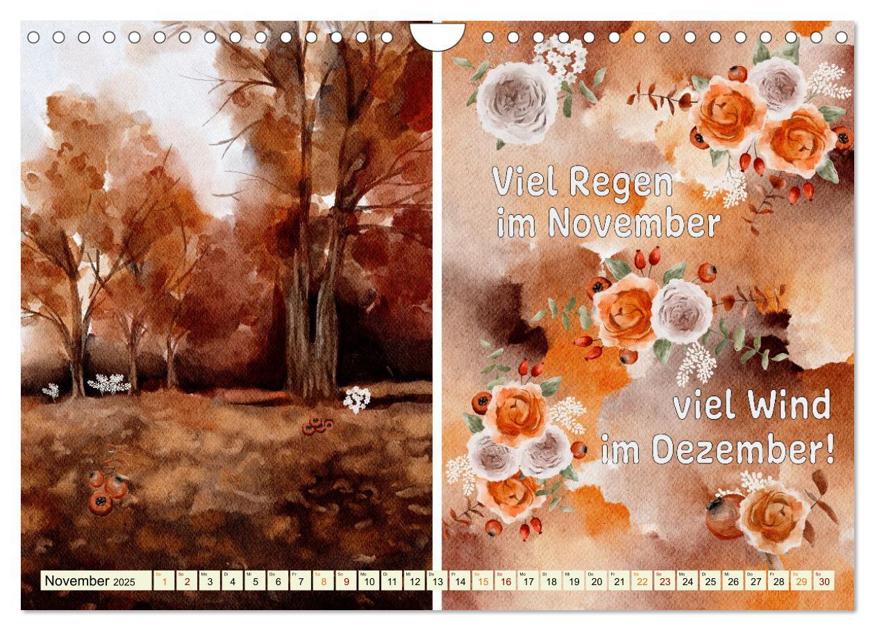 Bild: 9783435080571 | Regeln für das Wetter (Wandkalender 2025 DIN A4 quer), CALVENDO...