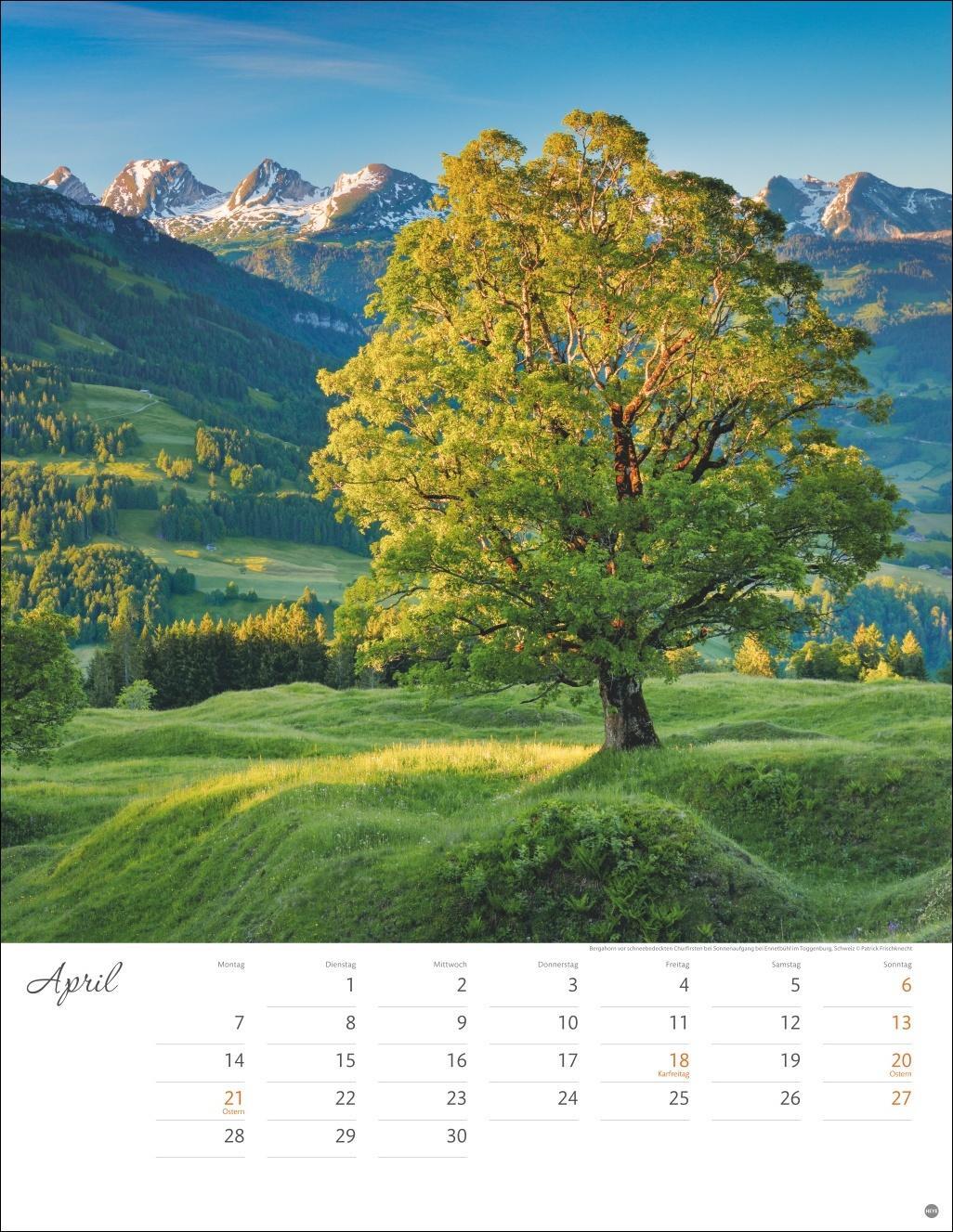 Bild: 9783756405268 | Jenseits der Hast Posterkalender 2025 | Heye | Kalender | 14 S. | 2025