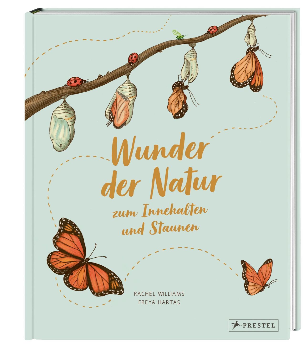 Bild: 9783791374475 | Wunder der Natur zum Innehalten und Staunen | Rachel Williams (u. a.)