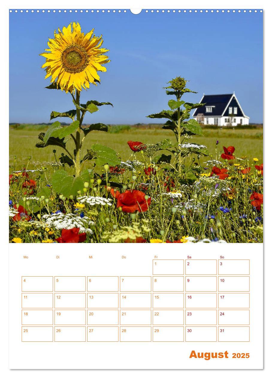 Bild: 9783435984206 | Texel - Momente die verzaubern (Wandkalender 2025 DIN A2 hoch),...