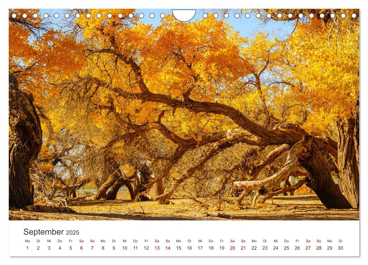 Bild: 9783435006977 | Mongolei - Endlose Steppe und wilde Natur. (Wandkalender 2025 DIN...