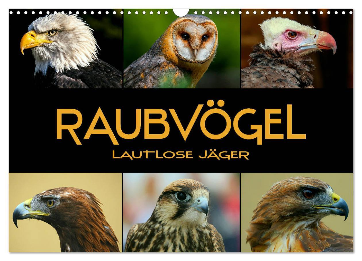 Cover: 9783435350421 | Raubvögel - lautlose Jäger (Wandkalender 2025 DIN A3 quer),...