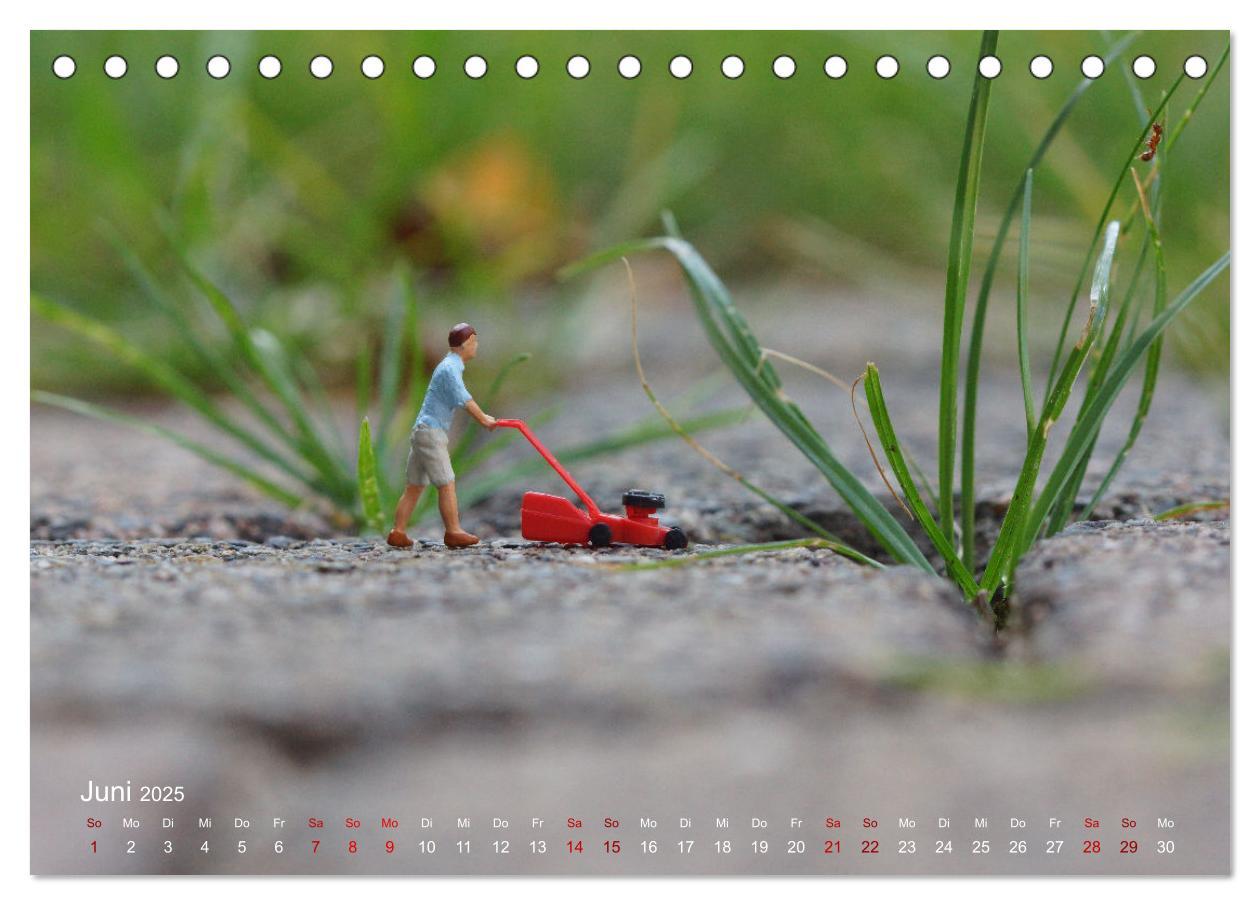 Bild: 9783457224441 | Das geheime Leben von Miniatur-Figuren (Tischkalender 2025 DIN A5...